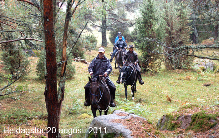 Heldagstur