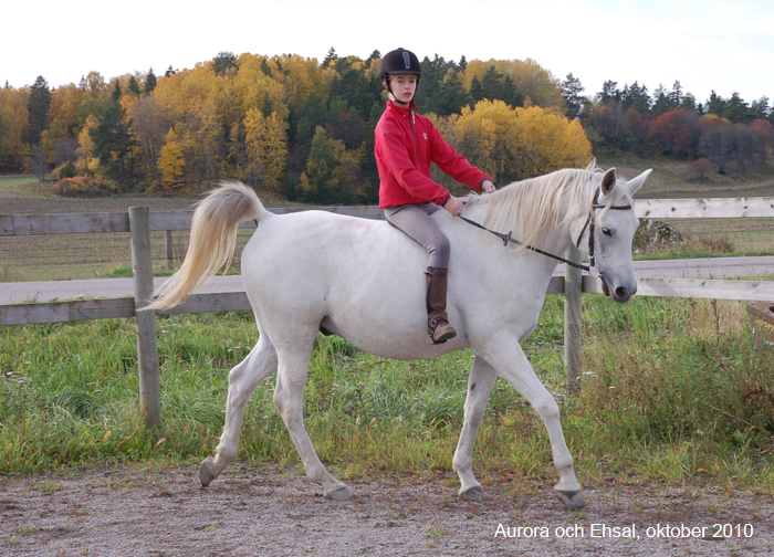 Aurora och Ehsal