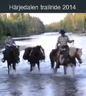 harjedalen2015