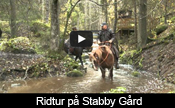 Ridtur på Stabby Gård